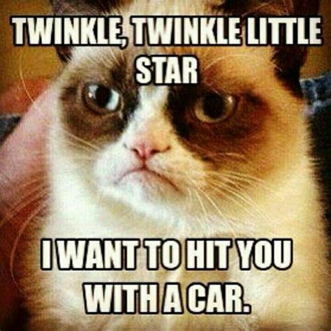 Pin By Melaney Snow On Funnies Funny Grumpy Cat Memes