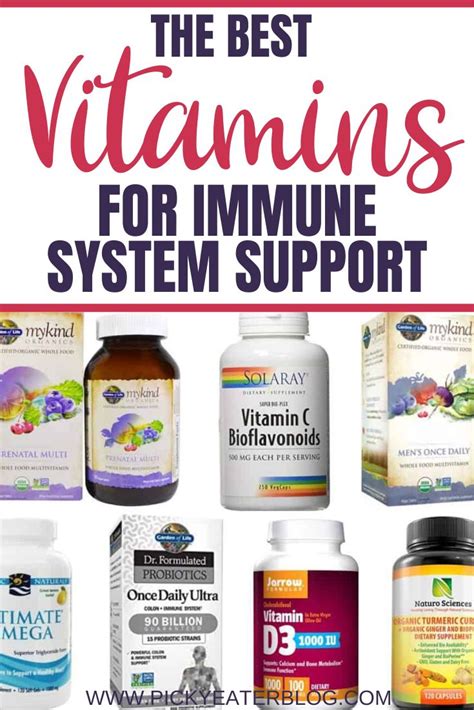 The Best Vitamins For Immune System Support Vitamins For Immune