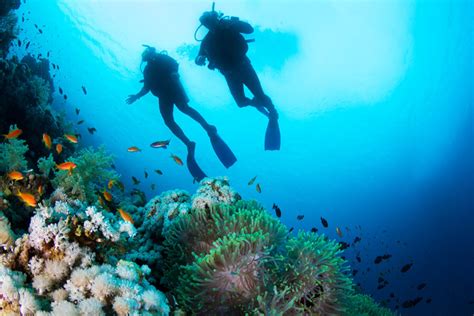 Best Scuba Diving In The World Liveaboards Two Wandering Soles