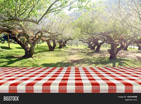 Outdoor Picnic Background Summer Image And Photo Bigstock