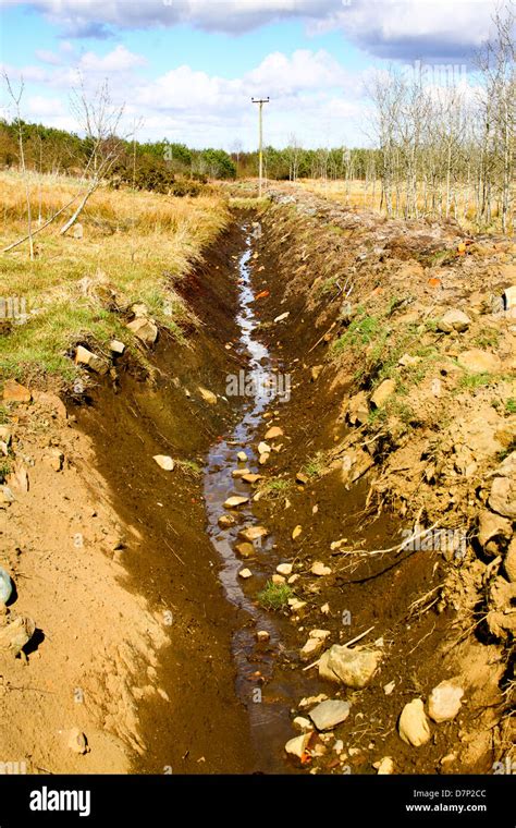 Drainage Ditch Dug Through Woodland Stock Photo Alamy