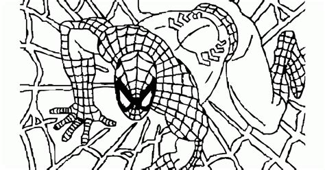 mewarnai gambar spiderman  atas jaring laba laba