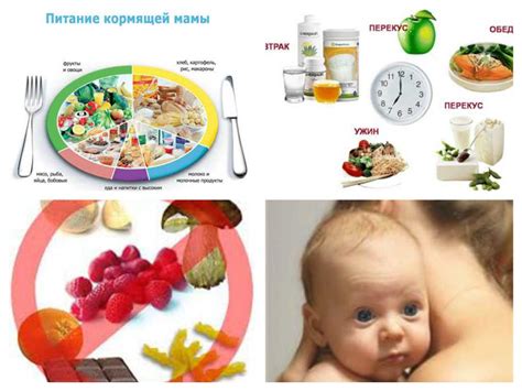 Правильное питание для кормящей мамы меню: Питание кормящей мамы в ...