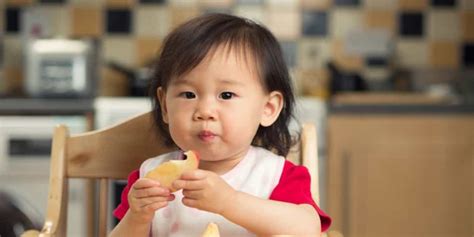 Anak anda akan belajar apa yang harus dilakukan dengan sisa makanan dan mengurangi limbah makanan. 12 Makanan Bayi 9 Bulan yang Sehat, Lezat, dan Mudah ...