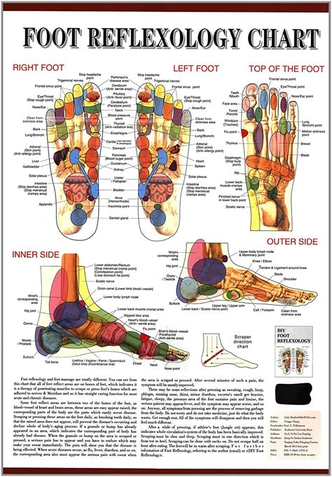 Reflexology Charts Business Mentor