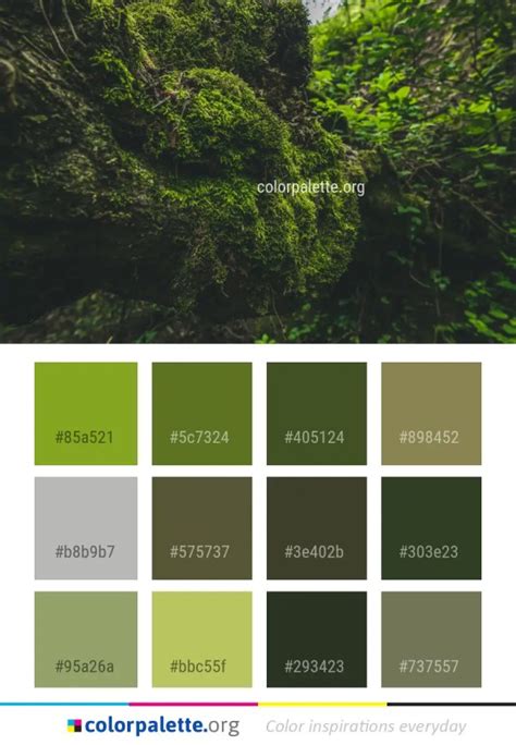 Vegetation Nature Green Color Palette