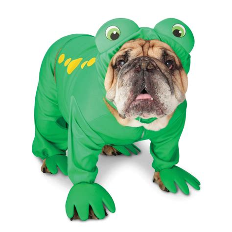 Bulldog In A Frog Suit Dog Costumes Funny Pet Halloween Costumes