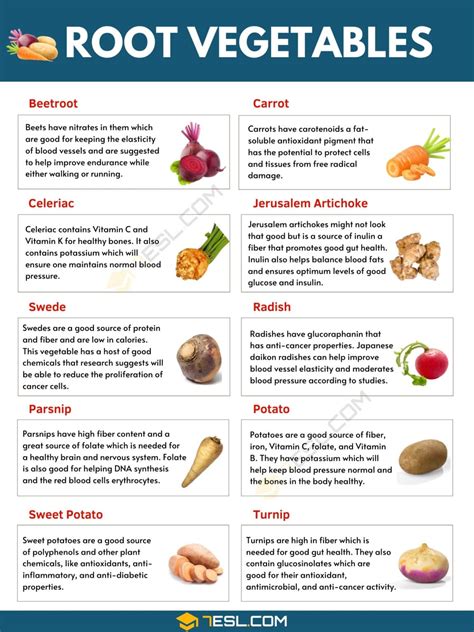 Root Vegetables List Of Root Vegetables Their Amazing Benefits Esl