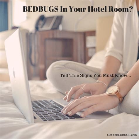 Bedbugs In Your Hotel Room Here Are Signs That Your Hotel Has Bed Bugs