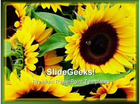 Sunflower Beauty Abstract Powerpoint Templates And Powerpoint Backgrounds 0211 Presentation
