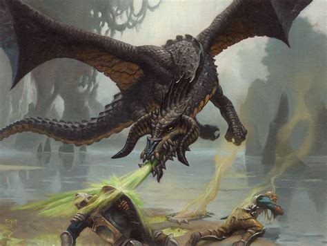 Black Dragon Mtg Art From Adventures In The Forgotten Realms Set By
