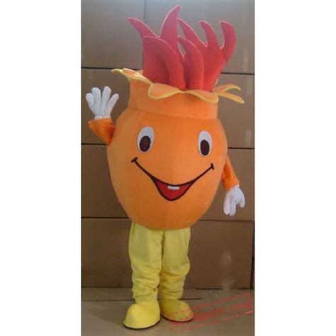Fruit Mascot Costume