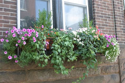 3 offers from $17.99 #16. Julie's Journeys: Philadelphia: Window Flower Boxes