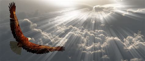 Eagle In Flight Above The Clouds Yogih Yoga Ilona Hillert Geisa