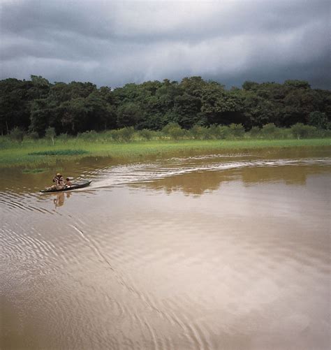 Negro River Amazon Brazil Tributaries Britannica