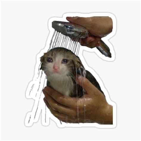 Sad Cat Shower Meme Sticker For Sale By Pusla Redbubble