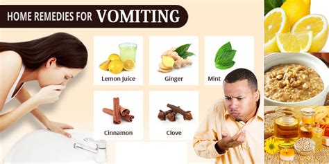 Vomiting Home Remedies Instant Relief Style Hunt World