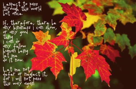Beauty Of Fall Quotes Bing Images Fall Colors Color Nature Photos