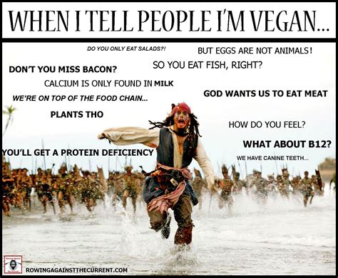 Vegan Jack Sparrow Uh Huh Vegan Humor Funny Vegan Memes Vegan