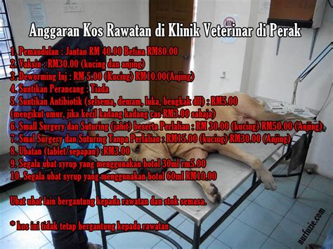 Harga vaksin untuk seekor kucing rm35 00. Harga Rawatan Di Klinik Veterinar | Eintan Nurfuzie