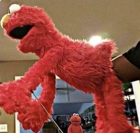 Elmo Pictures And Jokes Funny Pictures Best Jokes Comics Images
