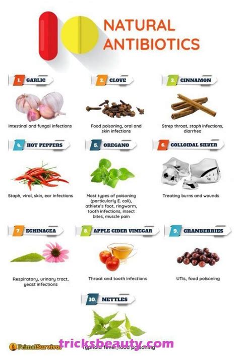 11 Natural Antibiotics For Everyone And How To Use Them These Natural