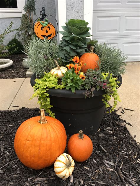 Some Pumpkins And Plants In A Pot On The Ground