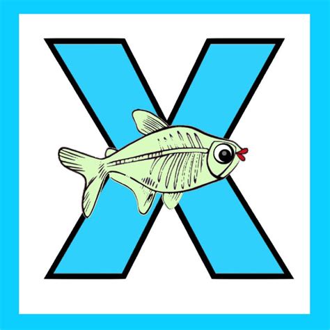 X X Ray Fish Alphabet Square Moms Craft Club