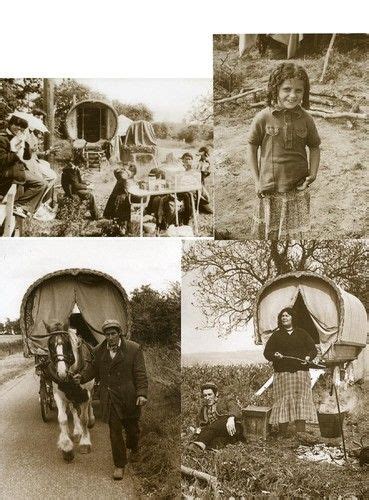 Romany Gypsy Caravan Waggon Vanner Horses | Romany Dreams ...