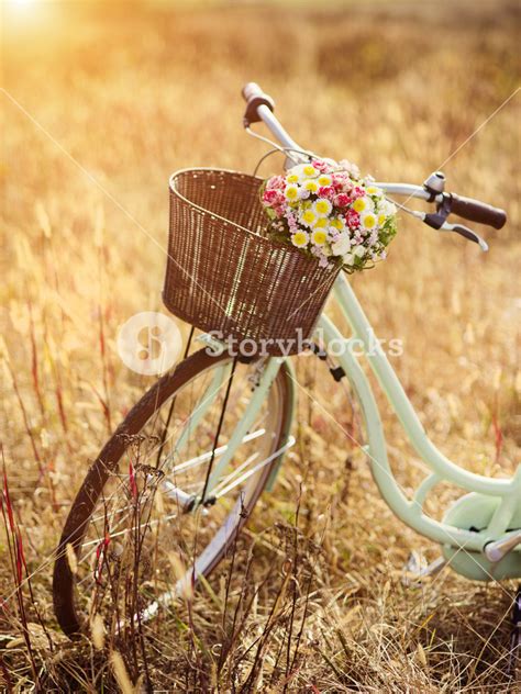 Vintage Bicycle With Basket Full Of Flowers Standing In The Field