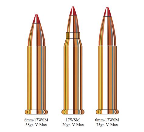 Wildcat 6mm 17wsm The Rimfire Forum The Varminter Forums