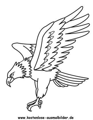 Weitere ideen zu bilder zum ausdrucken, bilder, ausdrucken. Ausmalbilder Adler 252 Malvorlage Alle Ausmalbilder ...