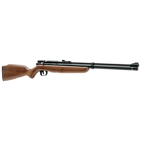 Crosman® Benjamin® Discover® Air Rifle 182631 Air And Bb Rifles At