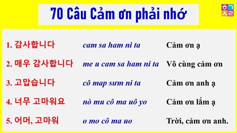 70 Câu Cảm Ơn Tiếng Hàn Buộc Phải Nhớ Khi Giao Tiếp Học 1 Lần Dùng Cả