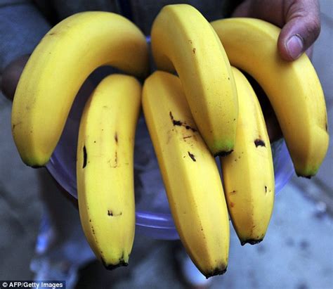 Genetically Modified Australian Bananas Could Save Lives Daily Mail