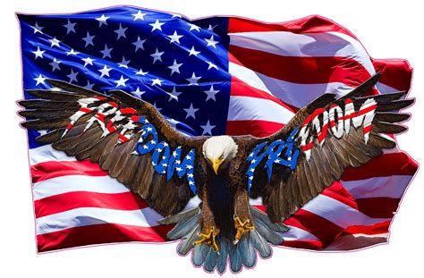 Soaring Bald Eagle American Flag Freedom Decal High Quality American