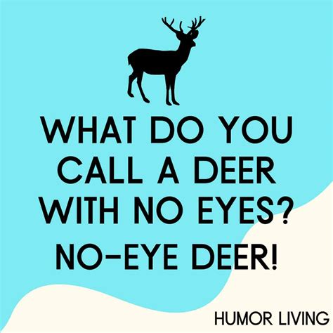 What Do You Call A Deer With No Eyes No Eye Deer Humor Living