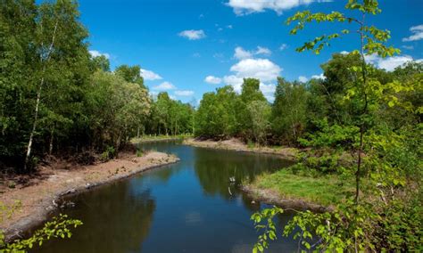 Your chance to vote for your favourite country park - KCC Media Hub