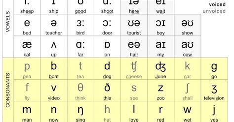Phonetic Alphabet British English Tedy Printable Activities