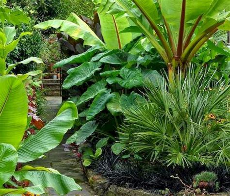 30 Amazing And Beautiful Tropical Garden Ideas
