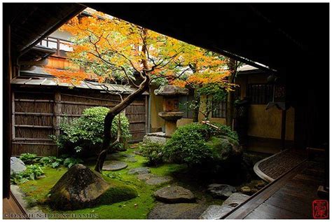 Inside Kyoto On Twitter Japanese Courtyard Japanese Garden Japan Garden