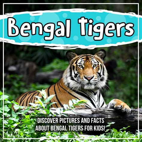 Read Bengal Tigers Discover Pictures And Facts About Bengal Tigers For