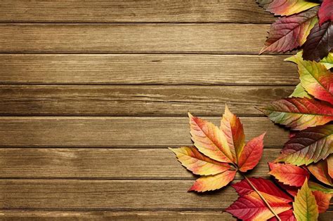 Free Download Fall Season Powerpoint Background Christian Images
