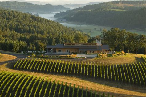 A Guide To Oregon Wine Imbibe Magazine