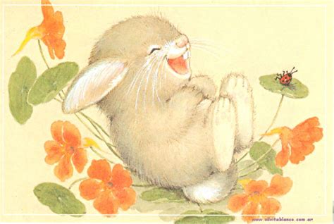 Conejos Dibujos Ilustraciones