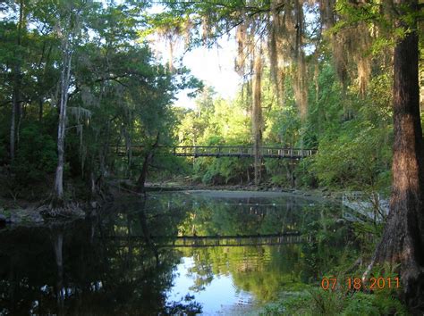 The limestone trail (.61 miles/hiking) passes through a hardwood hammock, past a limestone outcrop and by a pine forest. Sleeps Two: O'Leno State Park