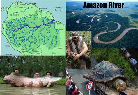 25 amazing facts about amazon river amazing facts 4u
