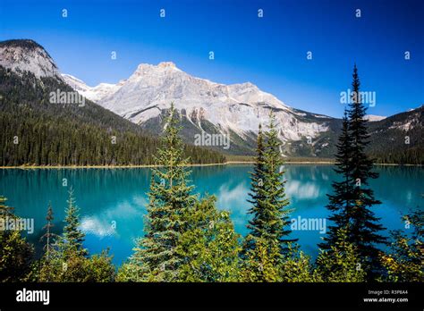 Emerald Lakeyoho National Parkbritish Columbiacanada Stock Photo Alamy