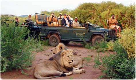 Safaris Na África