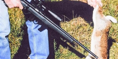 Review Howa Rimfire Rifle A Sharp Priced Sharp Shooter